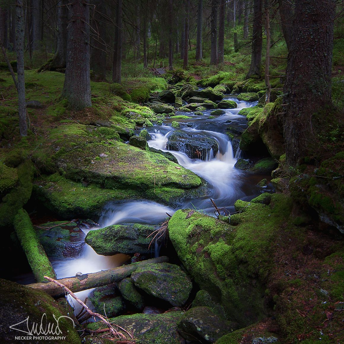 Šumava - Filipohuťský potok